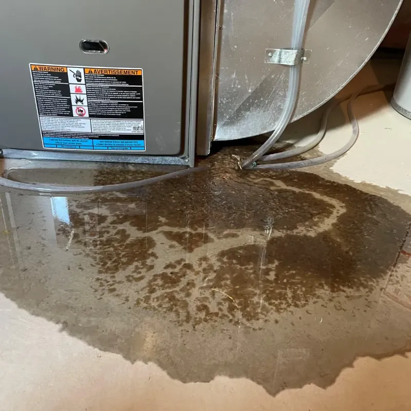 Appliance Leak Cleanup in Wells, NV